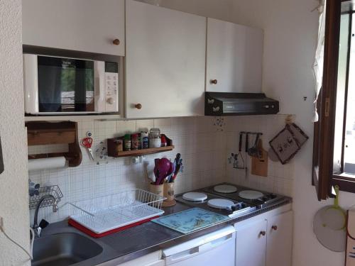 Appartement Chamonix-Mont-Blanc, 2 pièces, 4 personnes - FR-1-517-64