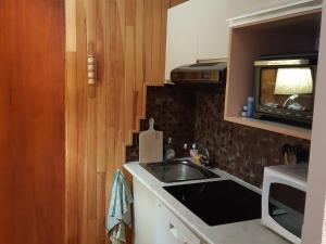 Appartement Chamonix-Mont-Blanc, 2 pièces, 4 personnes - FR-1-517-65