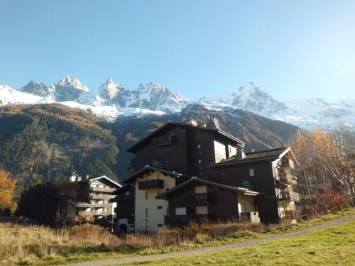 Appartement Chamonix-Mont-Blanc, 2 pièces, 6 personnes - FR-1-517-12
