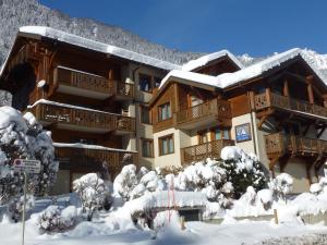 Appartement Chamonix-Mont-Blanc, 3 pièces, 6 personnes - FR-1-343-170