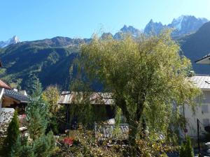 Appartement Chamonix-Mont-Blanc, 3 pièces, 6 personnes - FR-1-343-196