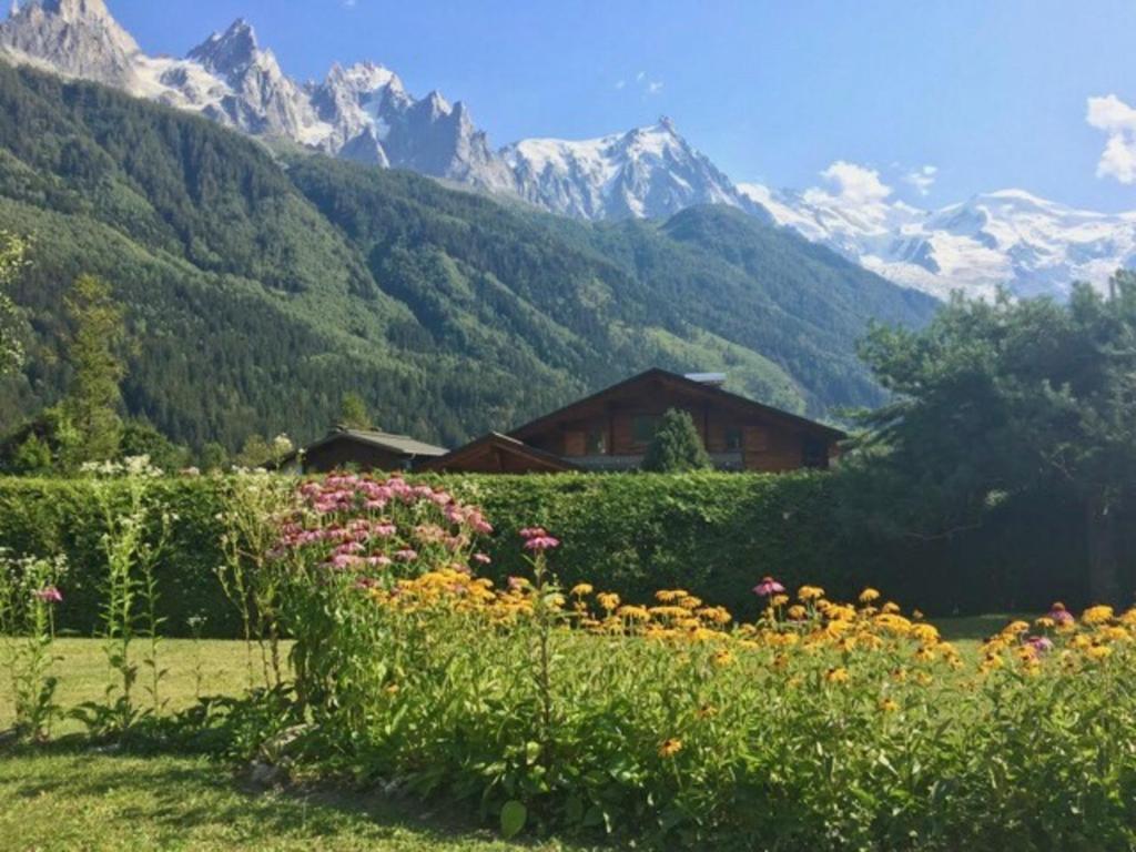 Appartement Appartement Chamonix-Mont-Blanc, 3 pièces, 6 personnes - FR-1-517-57 563 route des Drus 74400 Chamonix-Mont-Blanc