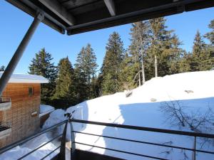 Appartement Chamrousse, 2 pièces, 4 personnes - FR-1-549-98