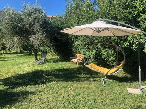 Appartement charmant et climatisé avec jardin