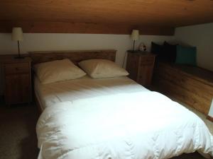 Appartement Châtel, 2 pièces, 4 personnes - FR-1-200-278