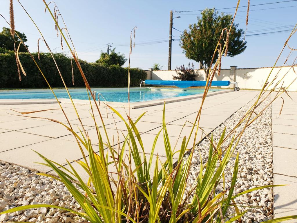Appartement Châtel, 2 pièces, 4 personnes - FR-1-200-302 74390 Châtel