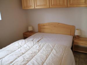 Appartement Châtel, 2 pièces, 5 personnes - FR-1-200-357