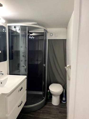 Appartement climatisé ALBI - Centre