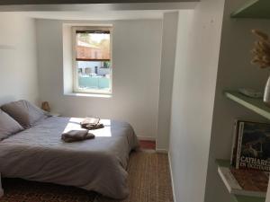 Appartement Appartement climatisé avec terrasse 73 Rue Barbacane 11000 Carcassonne Languedoc-Roussillon