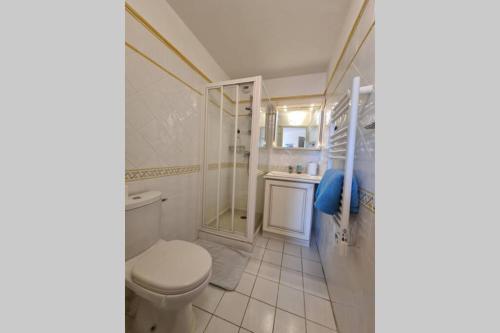 Appartement climatisé les Lavandiers 6 personnes piscines