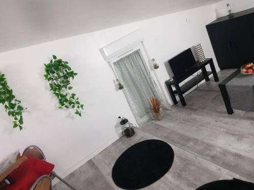 Appartement cocooning Auterive