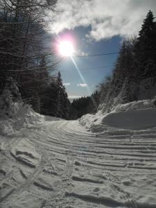 Appartement Col de la Faucille
