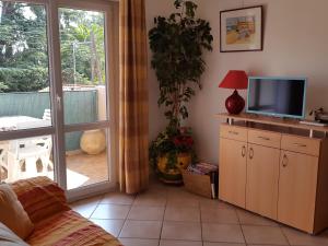 Appartement Appartement Collioure, 3 pièces, 4 personnes - FR-1-309-246 9 rue andré derain Résidence Michelet 1 er étage, appartement de gauche 66190 Collioure Languedoc-Roussillon