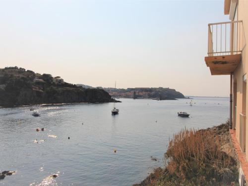 Appartement Collioure, 3 pièces, 4 personnes - FR-1-309-349