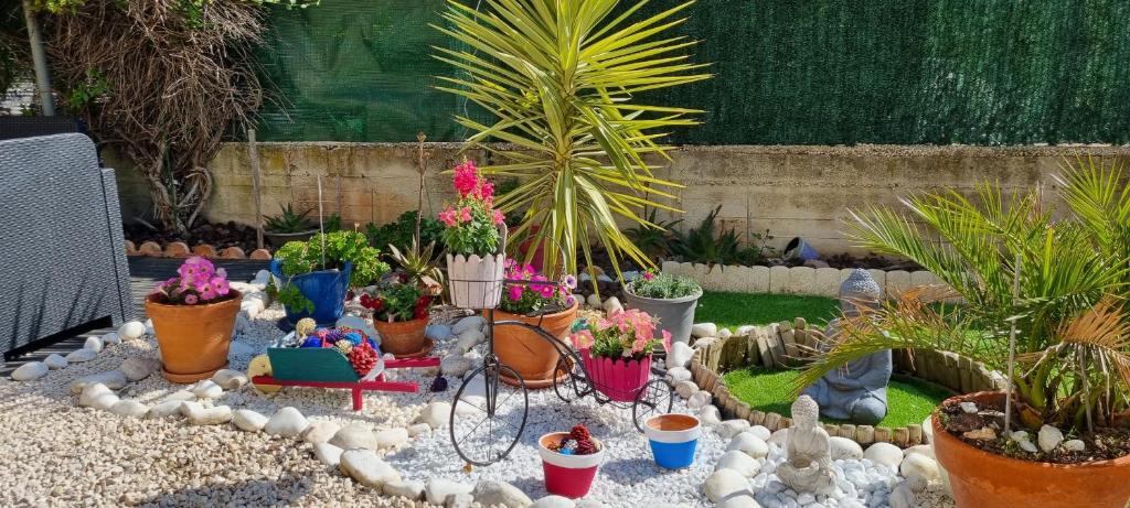 Appartement confortable Verdon Provence 04500 Riez