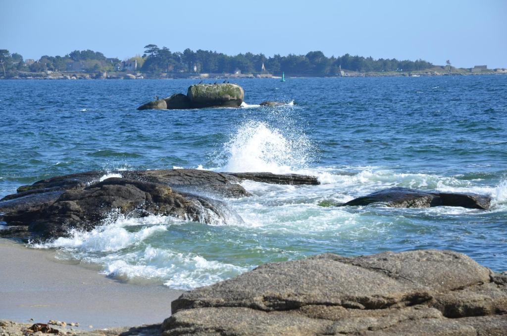 Appartement Appartement Corniche I 40 M2 - 40 M de l'eau ! AU CALME 14 Bd Katerine Wylie 29900 Concarneau