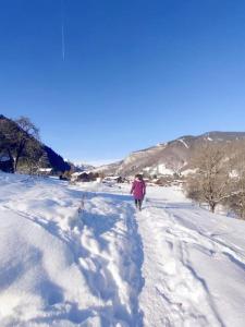 Appartement cosy 3/4 personnes à 5 min des pistes.