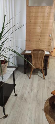 Appartement cosy à 2 pas des rues piétonnes
