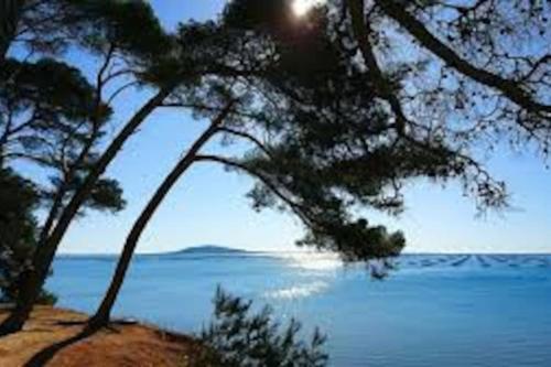 Appartement cosy à 50 m de la plage et du port