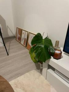 Appartement cosy à Amiens Sud
