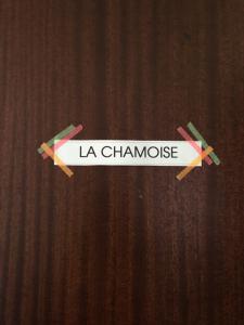 Appartement cosy au pied du MtBlanc