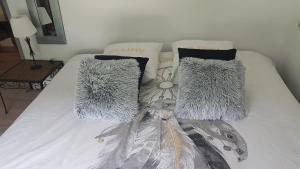 Appartement cosy au pied du tourmalet