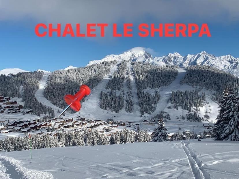 APPARTEMENT COSY AUX SAISIES n1 CHALET LE SHERPA 70 Route de la Traie, 73620 Les Saisies