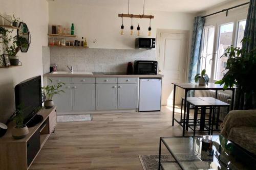 Appartement cosy centre ville de Blois