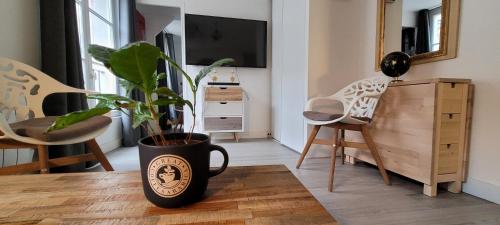Appartement cosy en plein centre d orleans