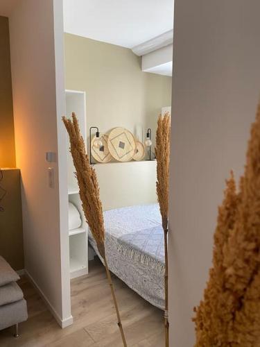 Appartement cosy en plein centre ville