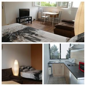 Appartement cosy entièrement rénové