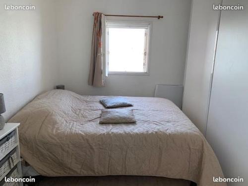 APPARTEMENT COSY FRED FLAMANTS ROSES