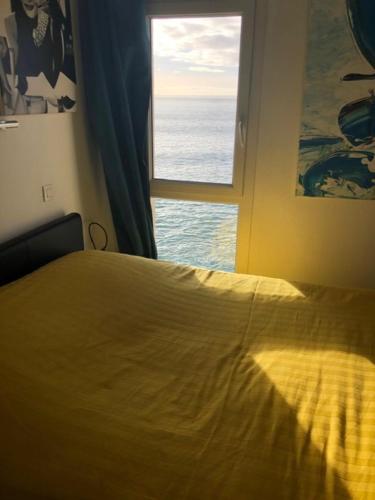 Appartement cosy les pieds dans l’eau, vue mer exceptionnelle