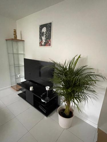 Appartement cosy lumineux et agréable pour vous ressourcer