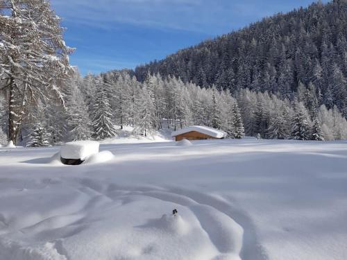 Appartement cosy montagne 4/5 personnes