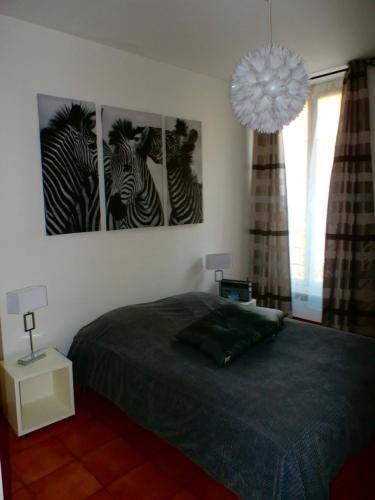 Appartement COSY