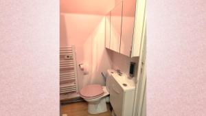 Appartement Cosy Pink Salins les Bains