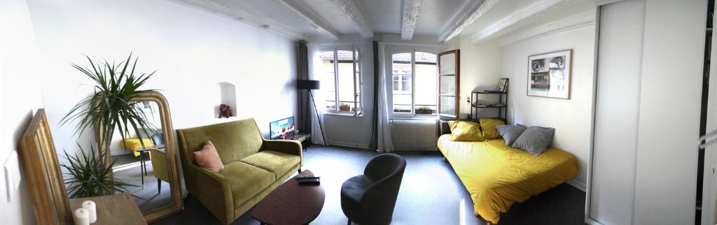 Appartement Appartement cosy rue Sainte Madeleine 15 Rue Sainte-Madeleine 67000 Strasbourg