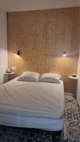 Appartement Cosy Saint Cyprien