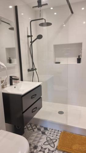Appartement Cosy Saint Cyprien