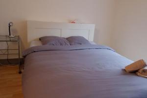 Appartement Cosy Salins les Bains