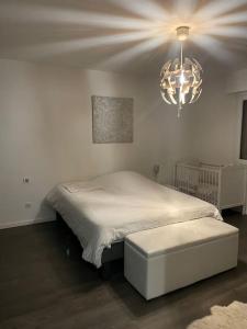 Appartement Cosy Strasbourg