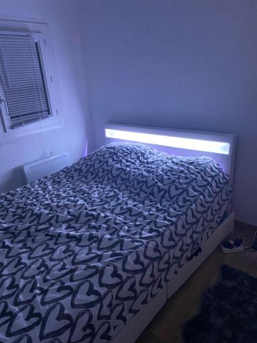 Appartement cozy