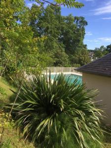 Appartement cozy pour curistes et touristes