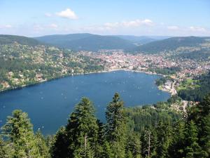 Appartement Appartement d'une chambre a Gerardmer a 900 m des pistes avec jardin amenage et wifi 10 Rue de la Roche 88400 Gérardmer Lorraine