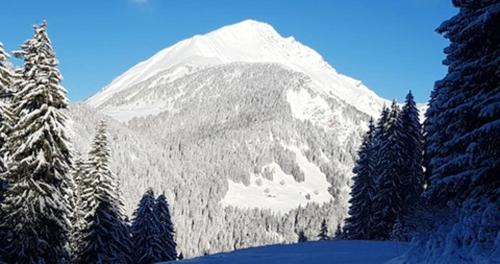 Appartement d'une chambre a La Chapelle d'Abondance a 200 m des pistes avec jardin