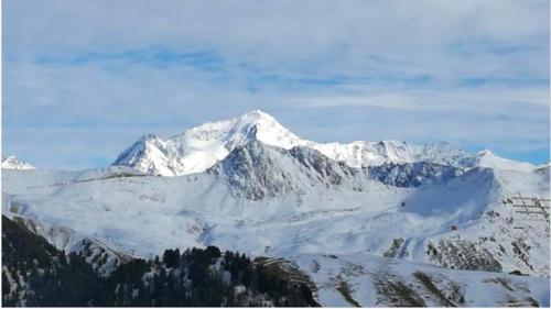 Appartement d'une chambre a La Plagne Aime 2000 a 10 m des pistes avec vue sur la ville et terrasse amenagee