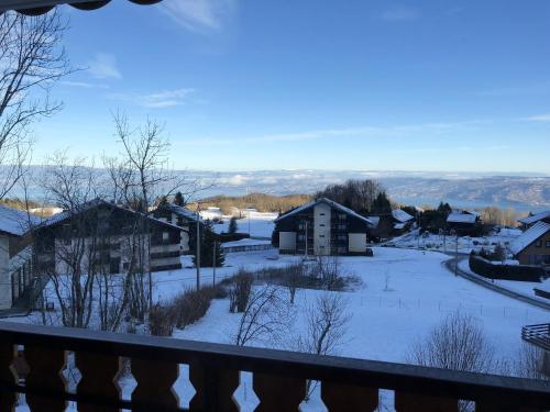 Appartement d'une chambre a Thollon les Memises a 360 m des pistes avec vue sur le lac et balcon amenage