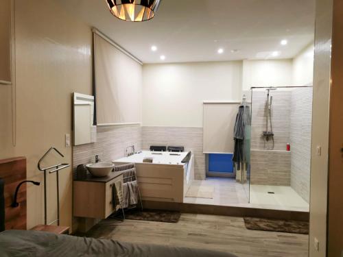 Appartement d'une chambre avec jacuzzi et wifi a Strasbourg