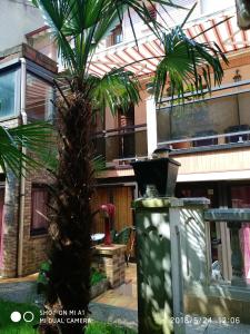 Appartement d'une chambre avec jardin amenage et wifi a Alfortville